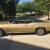 1970 Buick Wildcat