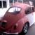 1966 Volkswagen Beetle - Classic