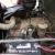1950 Dodge Power Wagon