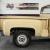 1982 Chevrolet C10 C10 2dr Standard Cab SB