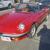 1988 Alfa Romeo Spider GRADUATE