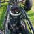 Race CAR Elfin NG 1600cc Formula VEE FOR Sale in QLD
