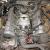 Mercedes 350SL Project/Parts car