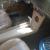 MERCURY COUGAR XR7 1967, ford mustang runing gear, V8, Muscle car
