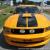 2007 Ford Mustang GT Premium 4.6L V8 24V Manual RWD Coupe Saleen SVT
