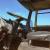 1986 Ford C 7000 Cargo Tow Truck