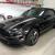 2013 Ford Mustang 2dr Convertible GT