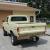 1970 Ford F-100