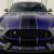 2016 Ford Mustang SHELBY GT350 TECHNOLOGY PACKAGE NAV LOW MILES