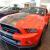 2013 Ford Shelby GT500 Shelby GT500