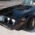 1981 Pontiac Trans Am Bandit Trans Am