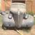 1937 Pontiac Other Slantback