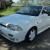 suzuki swift gti 89 mdl 5spd 1.3 twin cam peugeot 205 mini cooper mr2 wrx subaru