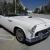 1955 Ford Thunderbird