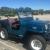1954 Jeep CJ HIGH HOOD