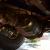 1959 Other Makes B61LT CUSTOM**CAB