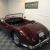 1954 Jaguar Doretti