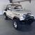 1982 Jeep CJ CJ8