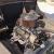 1968 Chevrolet Other Pickups