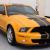 2009 Ford Mustang Shelby GT500