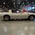 1981 Pontiac Firebird Trans Am