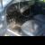 1973 Datsun Other 2 door