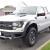 2012 Ford F-150 517A