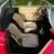 1957 Replica/Kit Makes Porsche VW