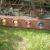1947 Dodge Other Pickups rat rod / pool table