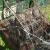 1947 Dodge Other Pickups rat rod / pool table