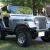 1979 Jeep CJ