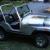 1979 Jeep CJ