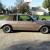 1984 Buick Regal