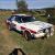 Datsun Stanza Race Car and Rally Car Package