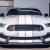 2017 Ford Mustang Shelby GT 350R