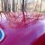 1969 Ford Mustang
