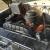 1955 Other Makes chevy hot rod bus