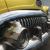 1951 Buick Other