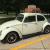 1966 Volkswagen Beetle - Classic