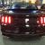 2016 Ford Mustang GT 350R "No Racing Stripes" SPECIAL EDITION