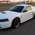 2004 Ford Mustang 40th Anniversary GT
