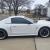 2004 Ford Mustang 40th Anniversary GT
