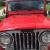 1981 Jeep Other