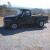 1955 Ford F-100