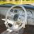 1991 Nissan Other