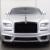 2015 Rolls-Royce Wraith 2dr Coupe