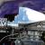  Ford XD Falcon Blown 351 Cleveland Race Drag Custom Burnout CAR 800HP 