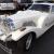1983 Other Makes Golden Spirit 2DR COUPE