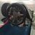 1973 LOLA T 340 FORMULA FORD RACE CAR GROUND UP RESTORATION
