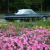 1965 Ford Thunderbird
